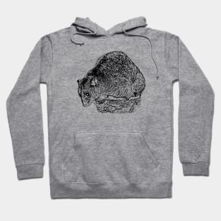 Ground cuscus Hoodie